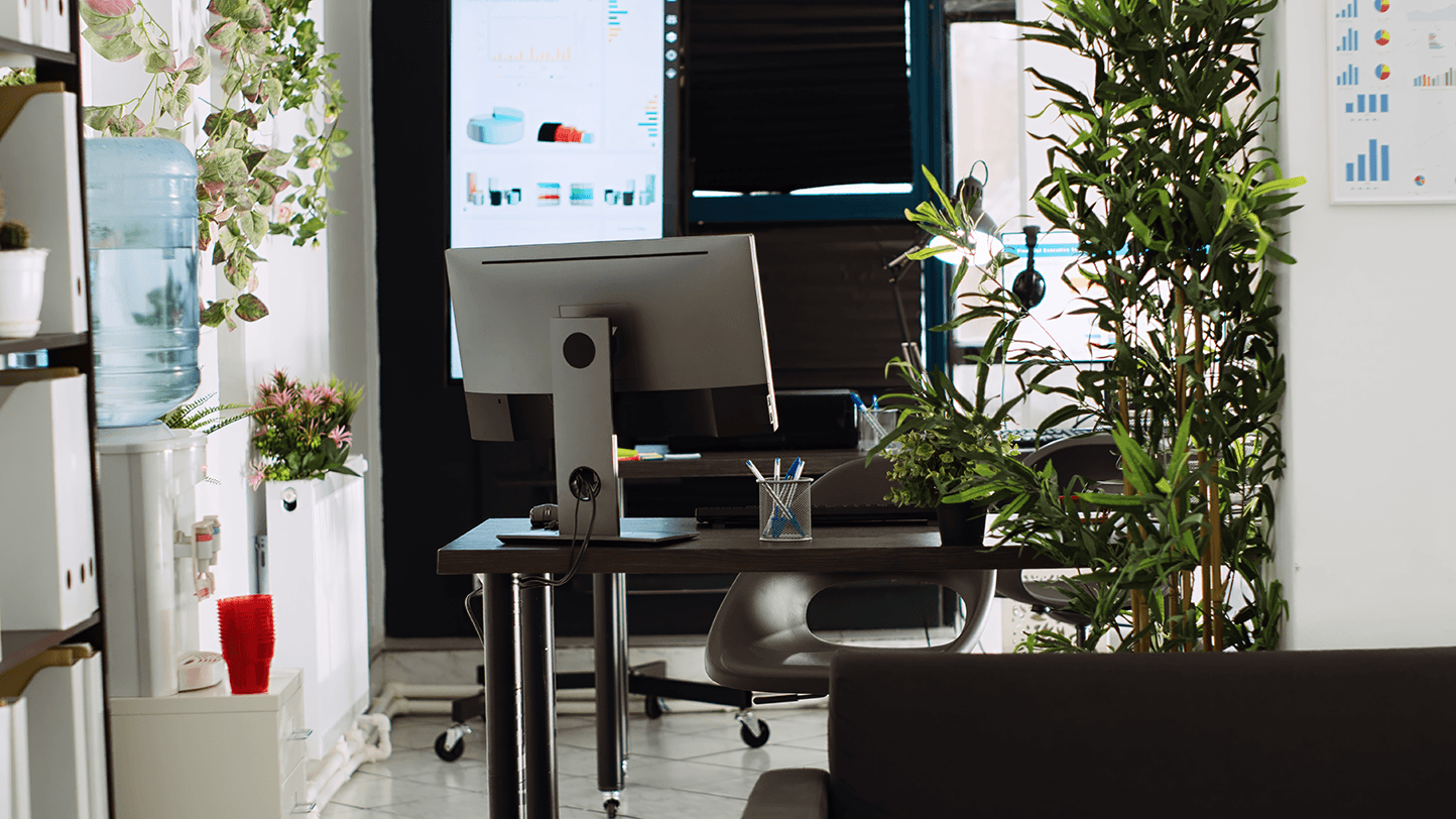 SetupCO Consultancy L.L.C