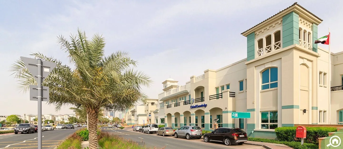 SetupCO Consultancy L.L.C